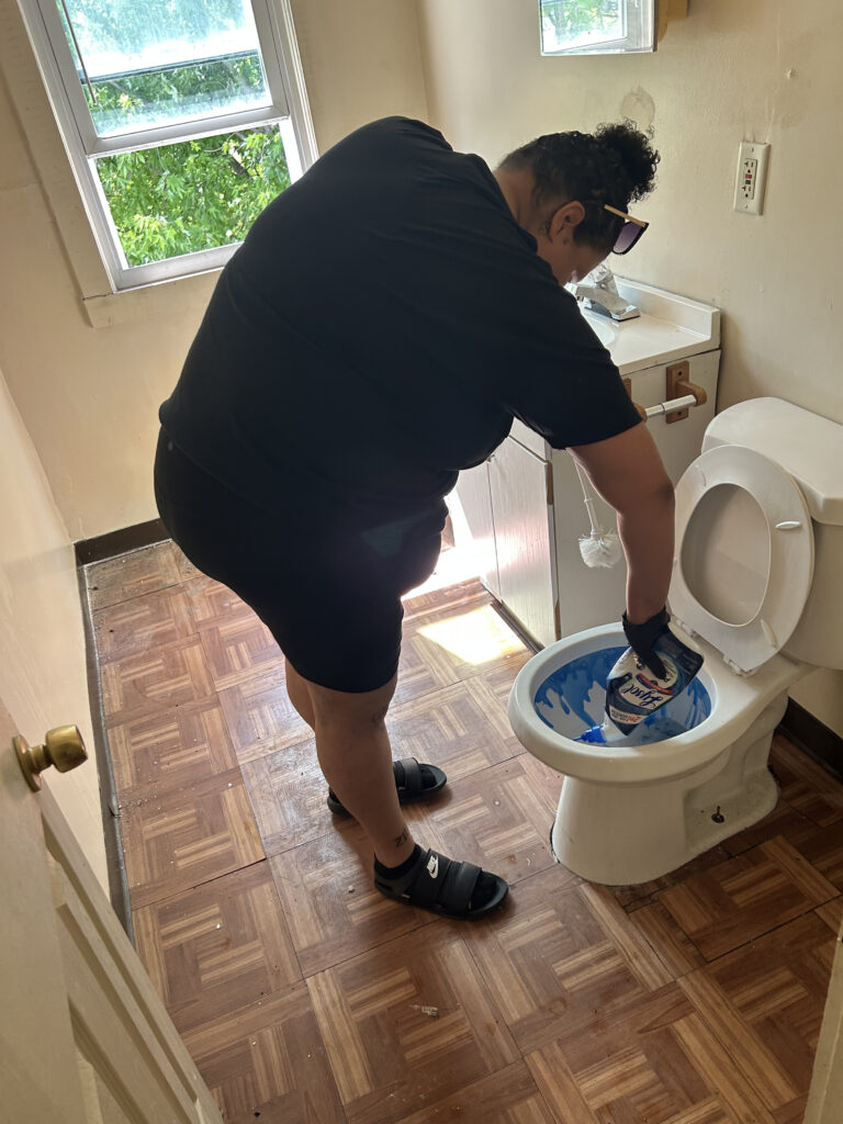 Bathroom deep cleaning toilet sanitizing — My Simple Cleaning professional house cleaning